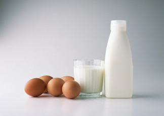عکس ظرف شیر و تخم مرغ محلی
