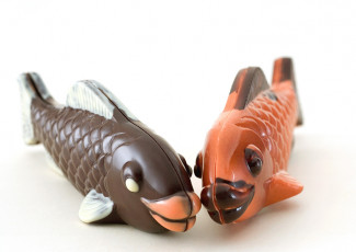 عکس شکلات شکل دار ماهی