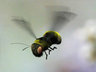 عکس سه بعدی زنبور فانتزی