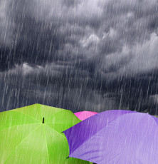 عکس چترهای رنگی و باران