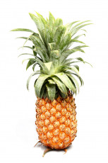 عکس میوه آناناس