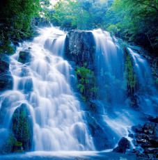 عکس آبشار در جنگل