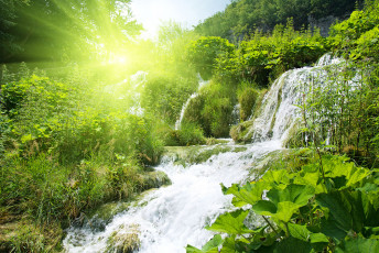عکس درختان سبز در کنار آبشار