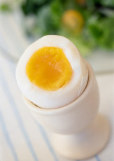 عکس تخم مرغ صبحانه عسلی