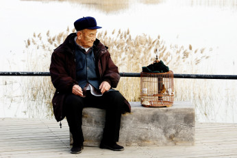عکس پیرمرد و قفس پرنده
