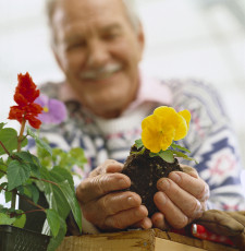 عکس پیرمرد و گلدان گل