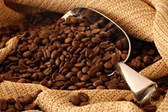 عکس دانه های آسیاب نشده قهوه