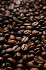 عکس دانه های سیاه قهوه