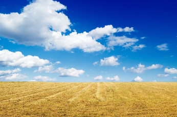 عکس زمین کشاورزی و آسمان