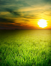 عکس غروب خورشید در سبزه زار