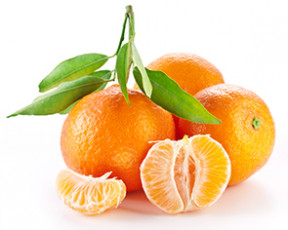 عکس میوه نارنگی