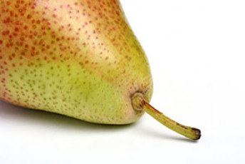 عکس میوه گلابی