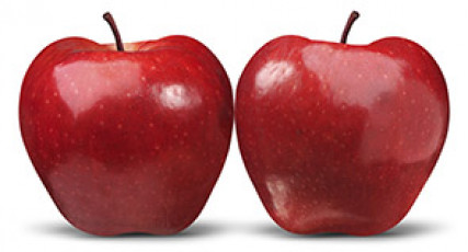 عکس دو سیب قرمز