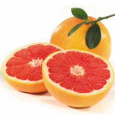 عکس پرتقال توسرخ
