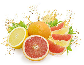 عکس میوه گریپ فروت و پرتقال