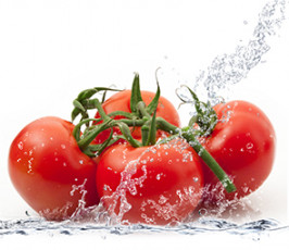 عکس گوجه فرنگی قرمز با آب