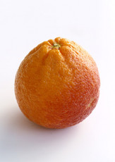 عکس یک پرتقال توسرخ