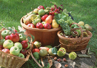 عکس سیب و گلابی و انگور در باغ