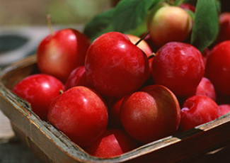 عکس سیب های قرمز در ظرف چوبی