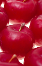عکس زیبای سیب قرمز