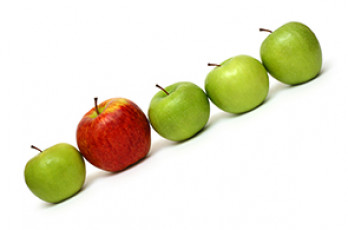 عکس جالب سیب های سبز