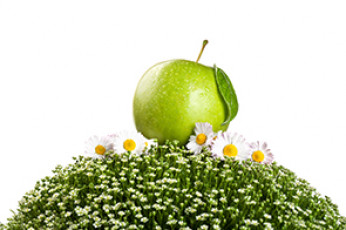 عکس سیب سبز روی گل و سبزه