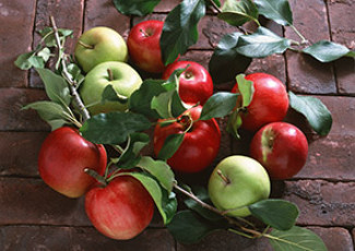 عکس سیب های سبز و قرمز