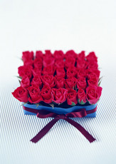 عکس باکس گل رز قرمز2
