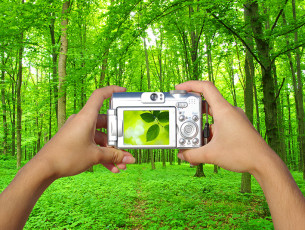 عکس دوربین دیجیتال و جنگل